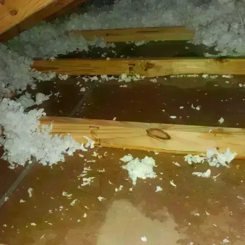 Attic Water Damage in Key Center, WA