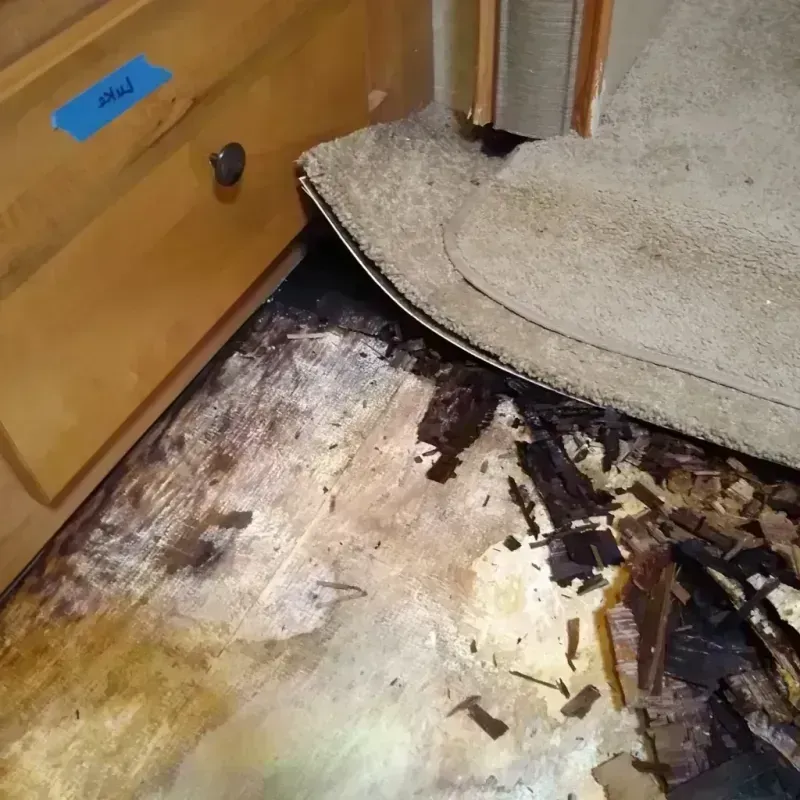 Wood Floor Water Damage in Key Center, WA